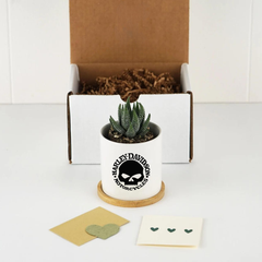 Harley Davidson Customised Planter