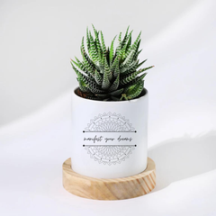 Customized Planters