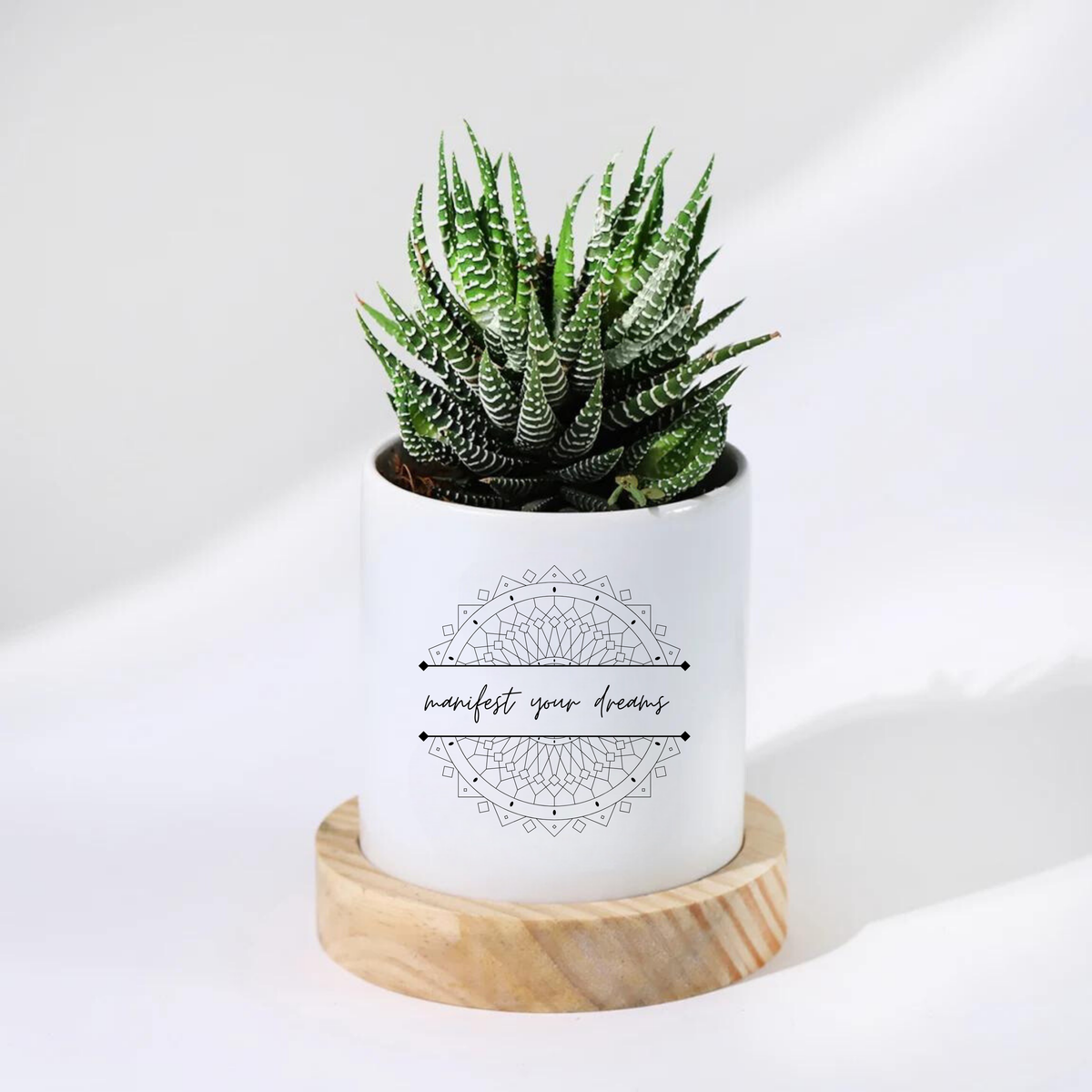 Customized  Planters